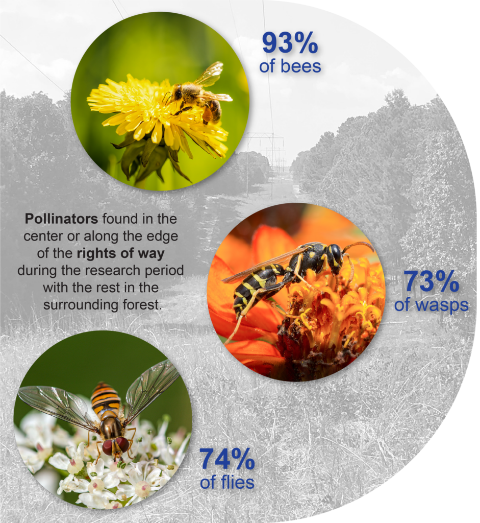 Bees, wasps, and flies in the rights-of-way